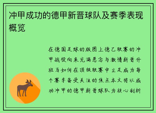 冲甲成功的德甲新晋球队及赛季表现概览